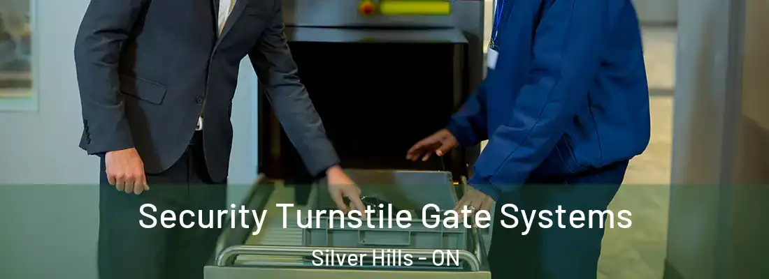  Security Turnstile Gate Systems Silver Hills - ON