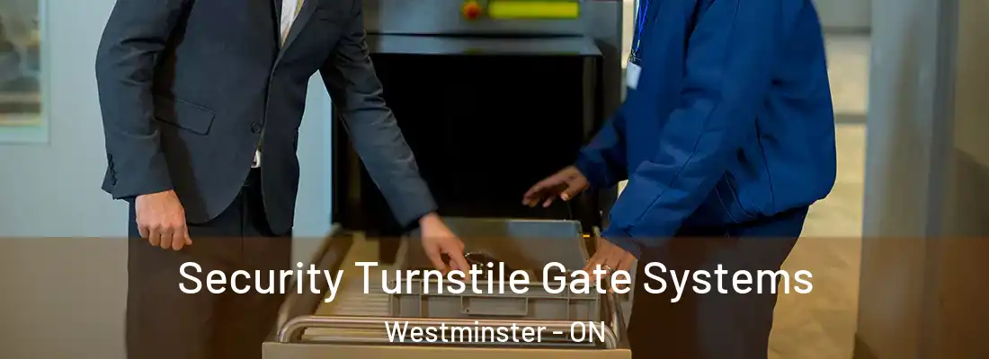  Security Turnstile Gate Systems Westminster - ON