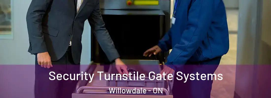  Security Turnstile Gate Systems Willowdale - ON