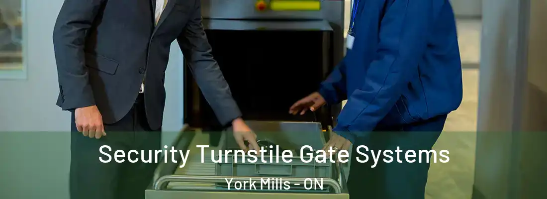  Security Turnstile Gate Systems York Mills - ON