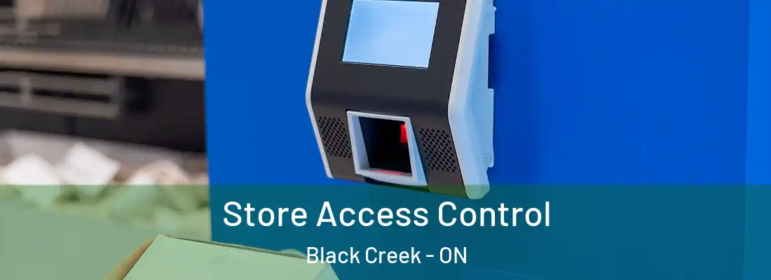  Store Access Control Black Creek - ON