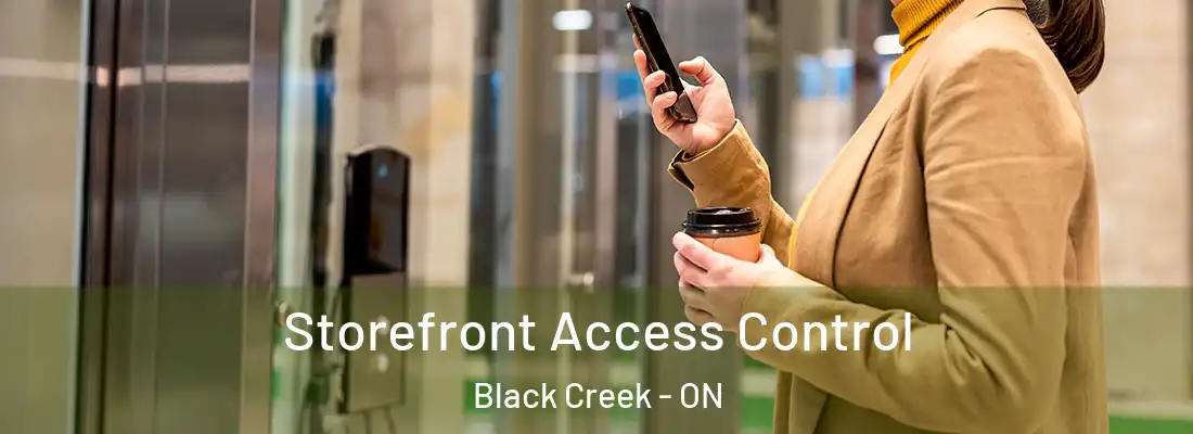  Storefront Access Control Black Creek - ON