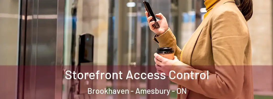  Storefront Access Control Brookhaven - Amesbury - ON