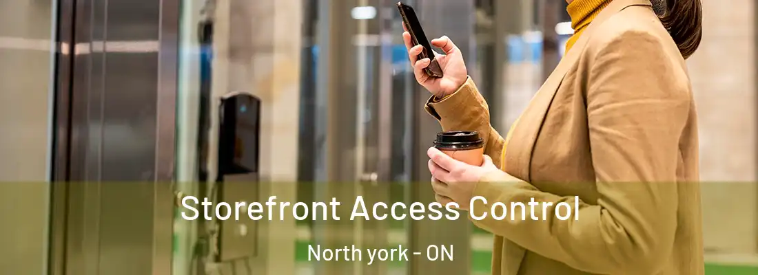  Storefront Access Control North york - ON