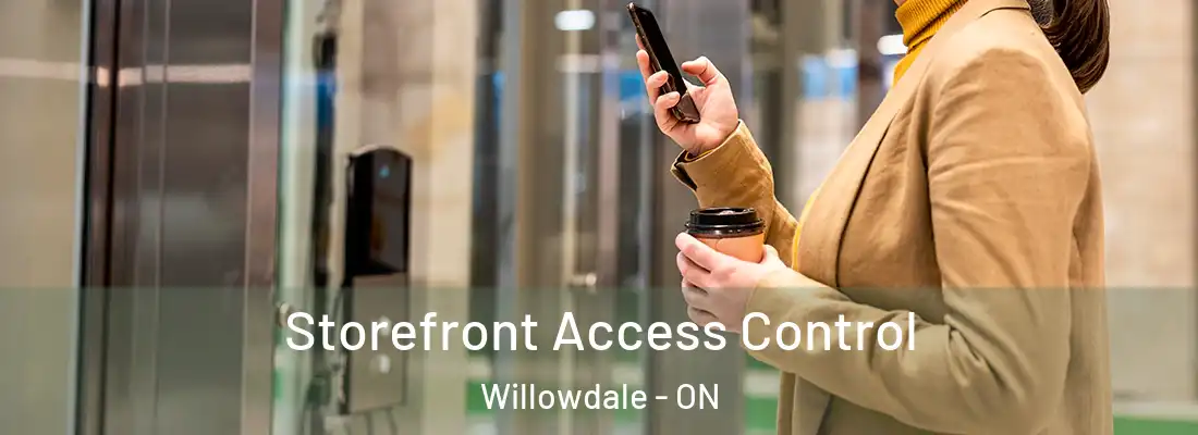  Storefront Access Control Willowdale - ON