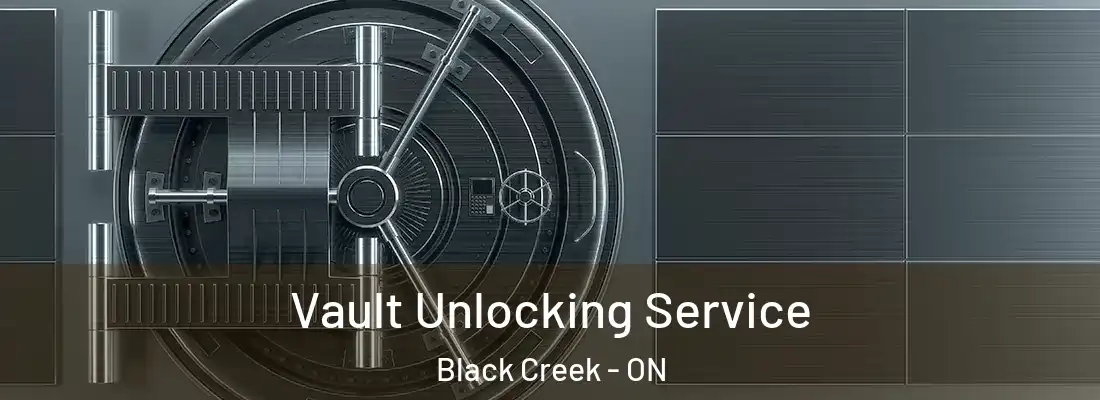  Vault Unlocking Service Black Creek - ON