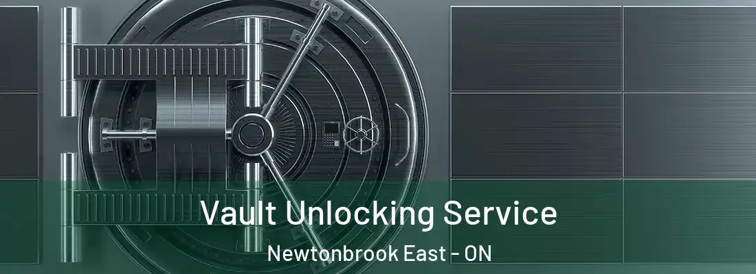  Vault Unlocking Service Newtonbrook East - ON