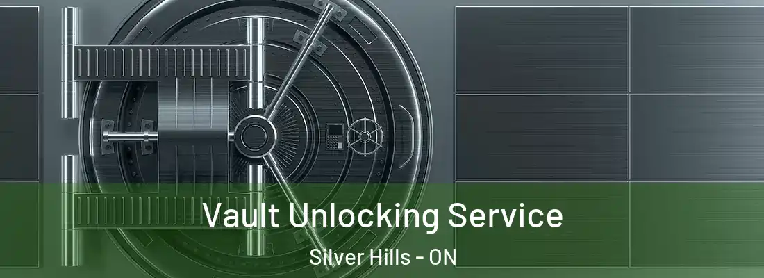  Vault Unlocking Service Silver Hills - ON